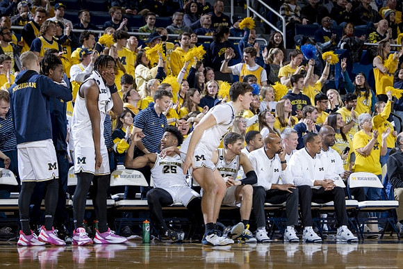 Michigan Team