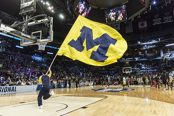 Michigan Flag