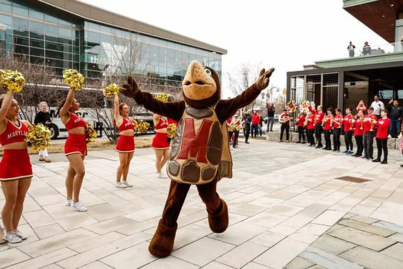 Maryland Mascot