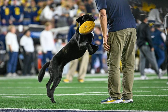 Michigan Stadium