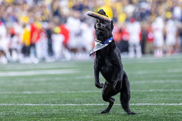 Michigan Stadium