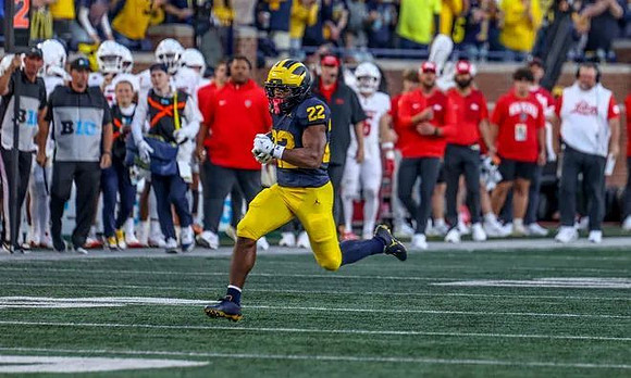 Justice Haynes (22)