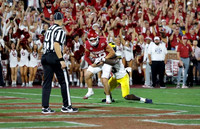 Michigan Player