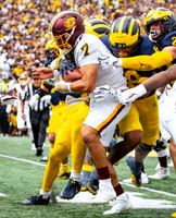Michigan Team