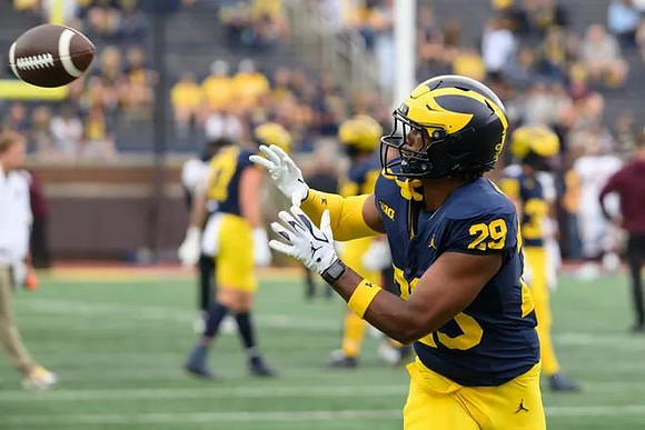 Chase Taylor (29)