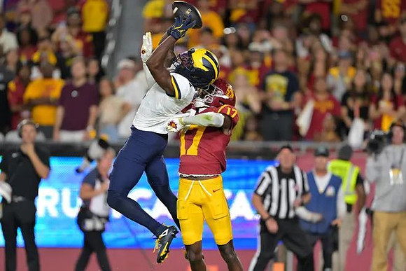 Michigan Player