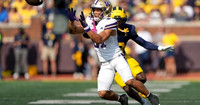 Michigan Player