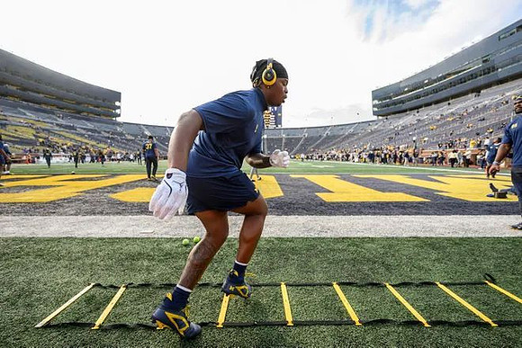 Michigan Player