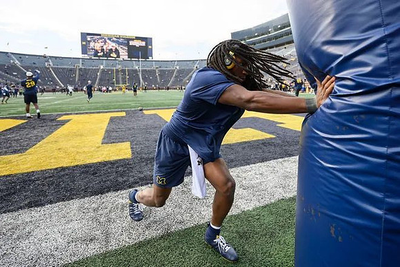 Michigan Player