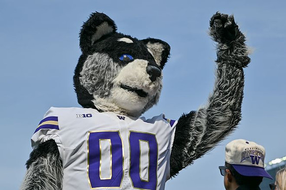 Washington Mascot