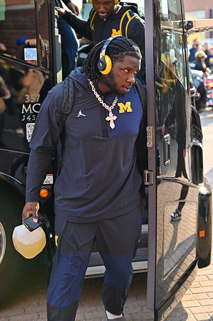 Michigan Player