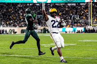 Justice Haynes (22)