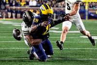 Bryce Underwood (19)