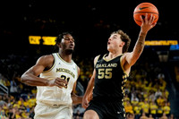 Morez Johnson Jr. (21)