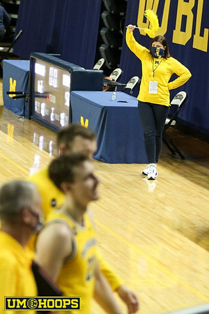 Michigan Team