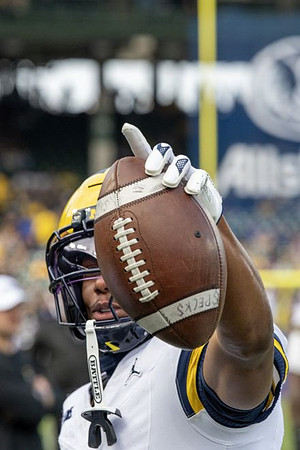 Michigan Player