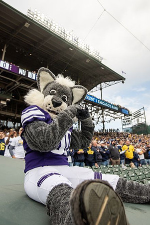 Northwestern Mascot