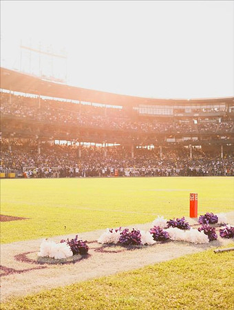 Wrigley Field