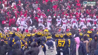 Michigan Team