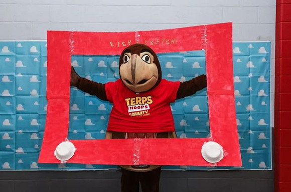 Maryland Mascot