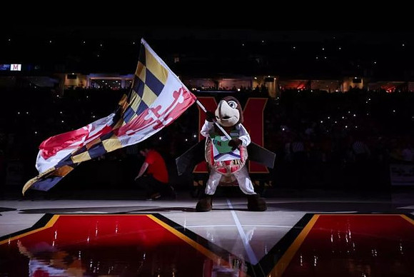 Maryland Mascot