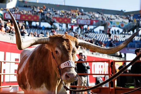 Texas Mascot