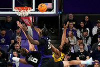 Morez Johnson Jr. (21)