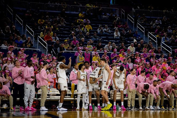 Michigan Team