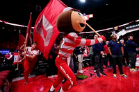 Ohio State Mascot