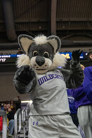 Northwestern Mascot