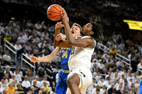Morez Johnson Jr. (21)