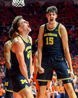 Morez Johnson Jr. (21), Will Tschetter (42), and Aday Mara (15)