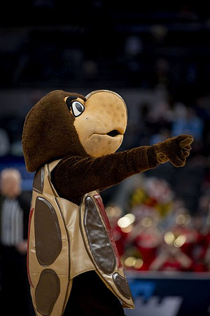 Maryland Mascot