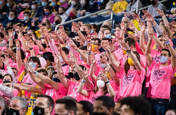 Michigan Fans