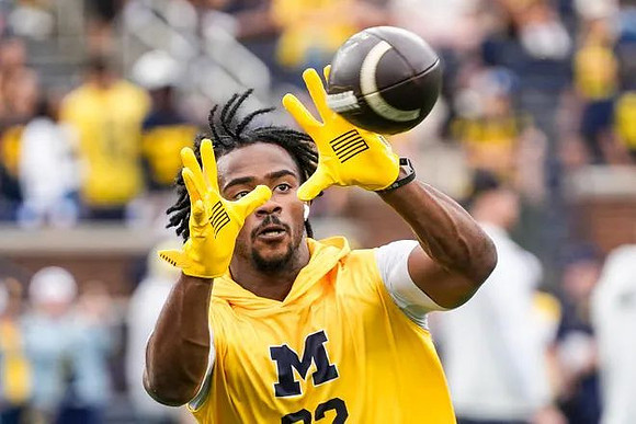 Michigan Player
