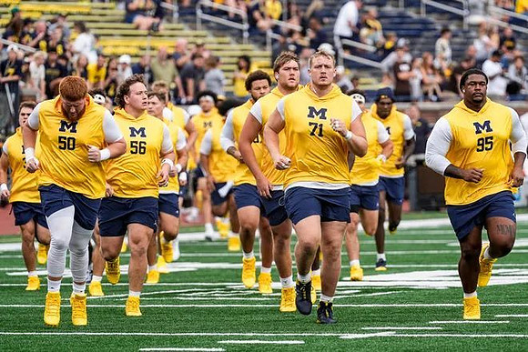 Michigan Team