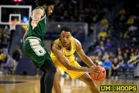 Michigan Player