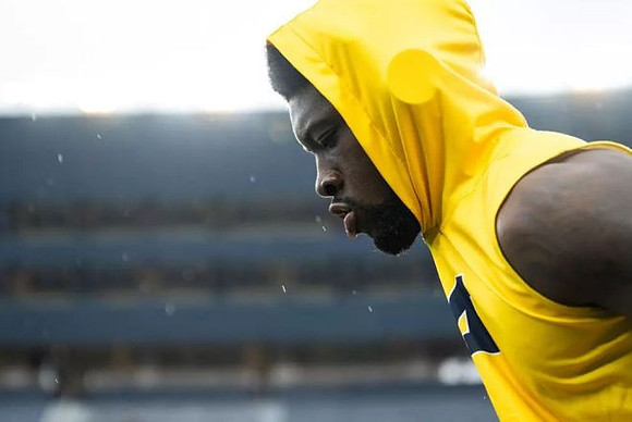 Michigan Player