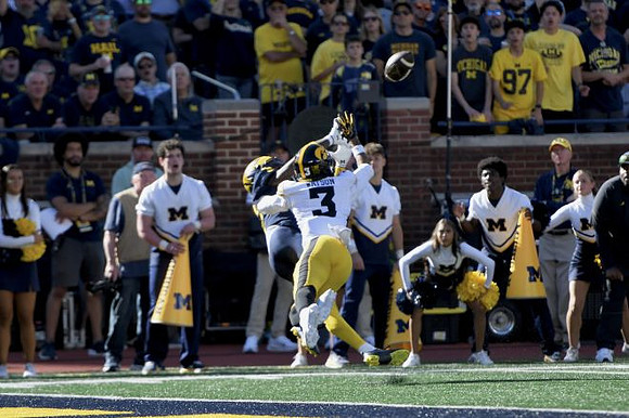 Michigan Player