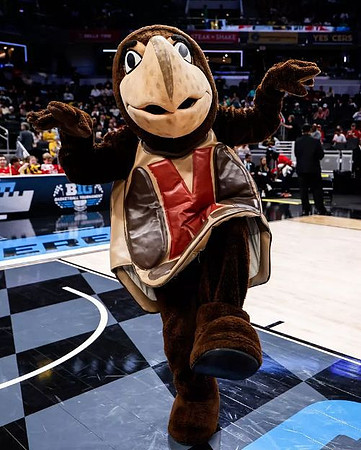 Maryland Mascot