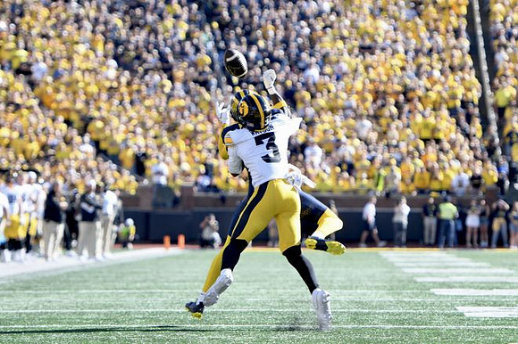 Michigan Player