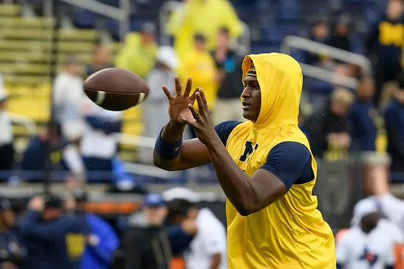 Michigan Player