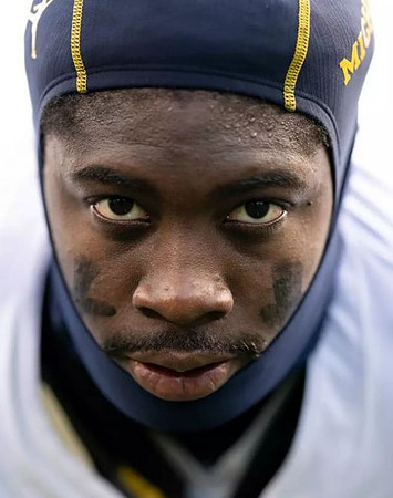 Michigan Player