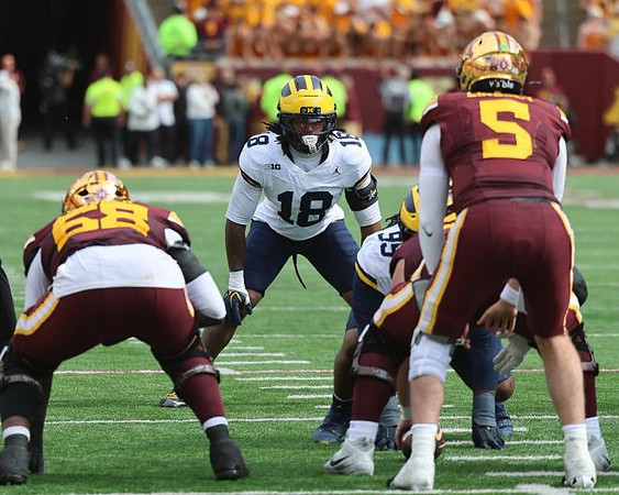 Troy Bowles (18) and Trey Pierce (95)
