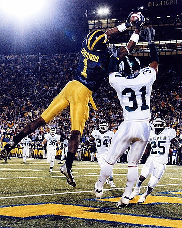 Braylon Edwards (1)