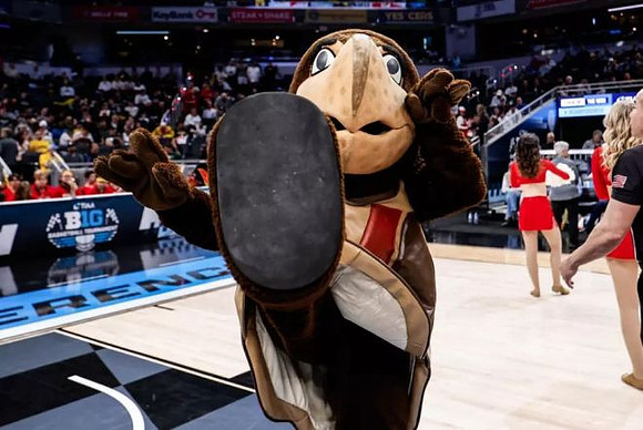 Maryland Mascot