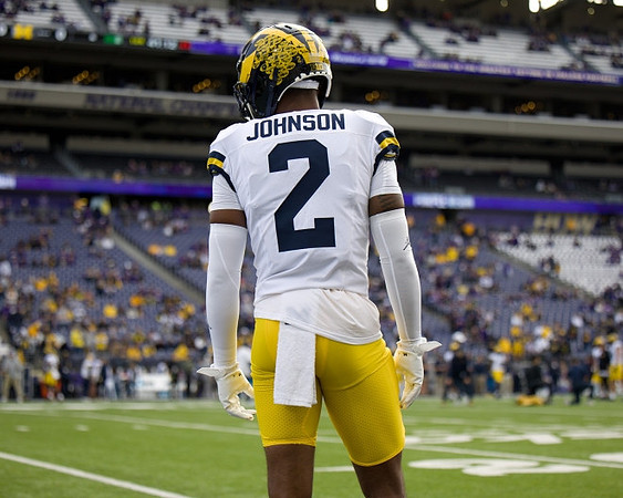 Will Johnson (2)