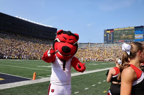 Arkansas State Mascot