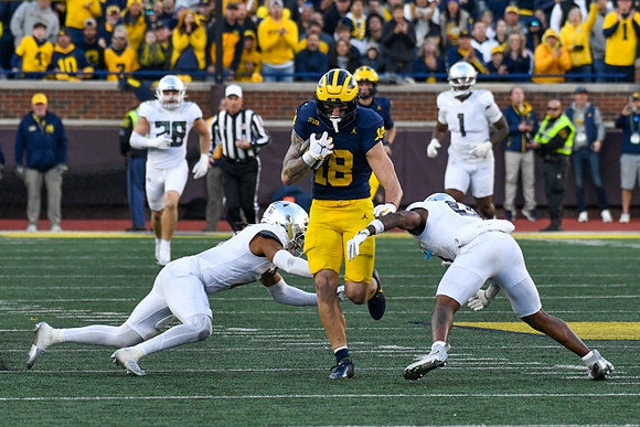 Colston Loveland (18)