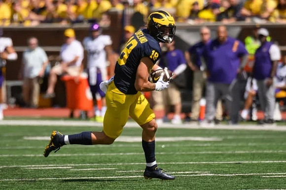 Colston Loveland (18)